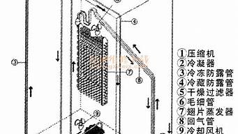 lg双开门冰箱电路图_lg双开门冰箱图片