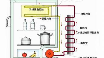 为探究某电冰箱的工作原理_为探究某电冰箱