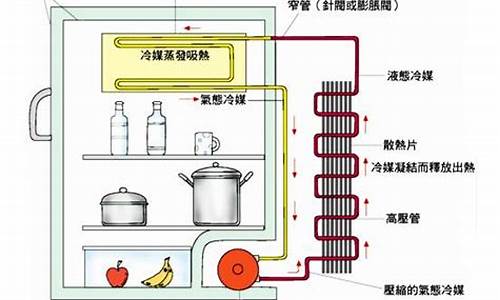 电冰箱的工作原理论文_电冰箱的工作原理论