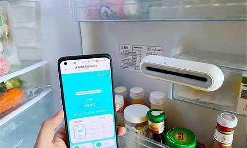 怎样可以去除冰箱异味_怎样可以去除冰箱异